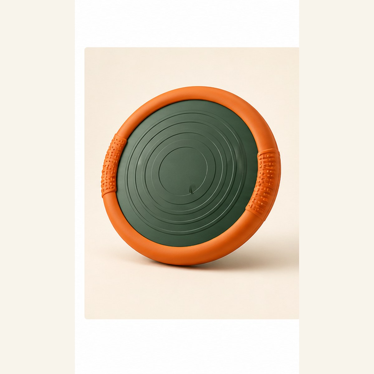 Custom Dog Frisbee catalog item